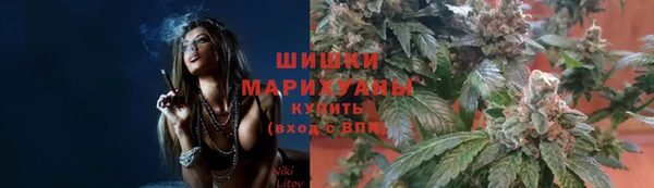 шишки Всеволожск